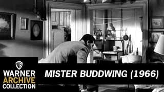 MISTER BUDDWING (Preview Clip)