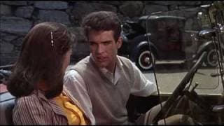 Splendor in the Grass trailer (1961)