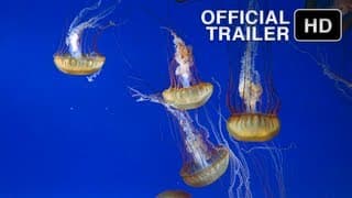 The Living Sea (1995) | Official Trailer