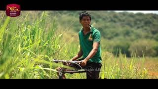 අපි නම් තෙමෙයි වැස්සට | පැංචා නොහොත්  දුලාන්  | සුදු ඇදගෙන කළු ඇවිදින් ටෙලිනාට්‍යයේ  හි