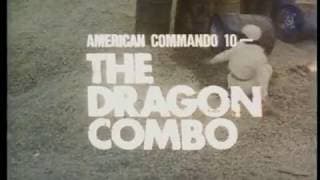 THE DRAGON COMBO