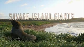Savage Island Giants National Geographic Documentary NHNZ Narration by Steve Duck