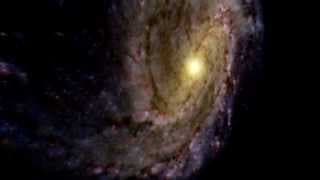 Fragile Planet (Trailer) | California Academy of Sciences
