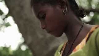 Tall as the Baobab Tree (Trailer)