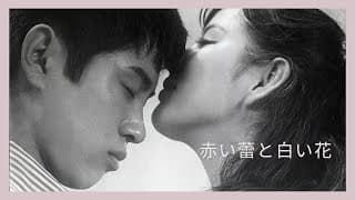 「赤い蕾と白い花」予告編