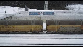 THE BORDER FENCE Trailer