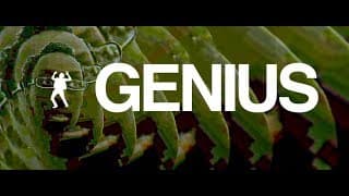 Genius Pilot Premiere