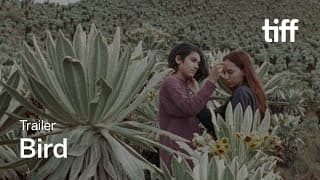 BIRD Trailer | TIFF 2023