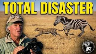 Young Leopard Hunts and Epic Fails 🐈