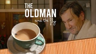 The old Man and the Fly
