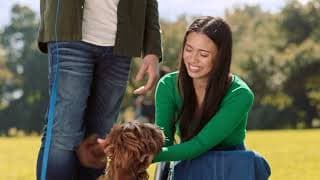 Mr. Pawsitively Perfect Trailer