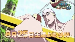 【8/25(土)放送：TVスポット第2弾】『ワンピース　エピソード オブ 空島』