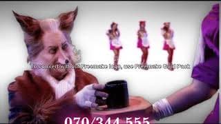 Musical De 3 Biggetjes (2003)