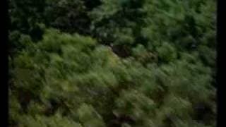 Sunshine (1999) Trailer - Ralph Fiennes