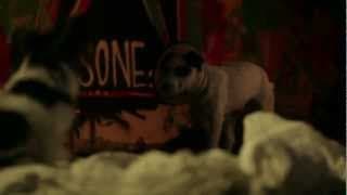 Play Dead (2011) FULL SHORT FILM