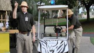 Funky Monkey - Trailer