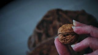 Walnut Men
