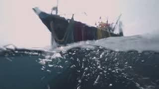 Against The Tide | Official Trailer | ALT EFF 2023