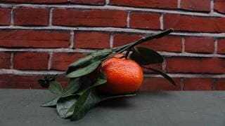 Orange Peel