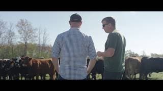 Before The Plate Official Trailer #1 (2018)