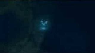MEGALODON THE MOVIE
