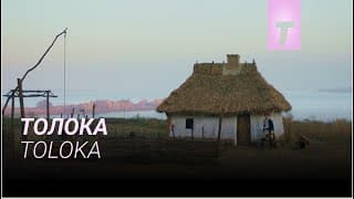 Толока / Toloka