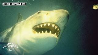Shark Strikes When Nobody Expects - Extended Preview