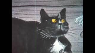 Cats story : The king of cats
