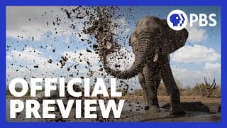 Life at the Waterhole | Official Preview | PBS