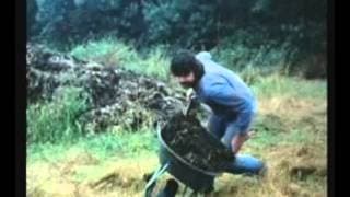 AFTERMAN TRILOGY - AFTERMAN AS A SLAVE