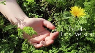 PeTaLs (Final Version) [Short Film]