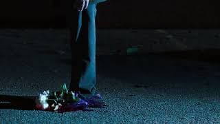 The Man Who Loved Flowers (Thomas Magnuson) 2015 - Trailer