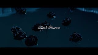 Black Flowers Trailer