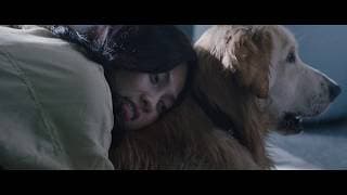 INVISIBLE EVIDENCE Official Int'l Teaser Trailer