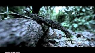 ASTHAMANAM official trailer