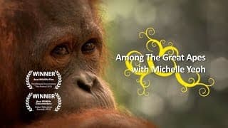 Among the Great Apes with Michelle Yeoh