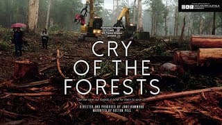 Cry of the Forests - A Western Australian Story - Official Trailer