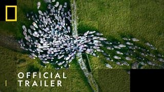 Official Trailer - Elevate Your Perspective
