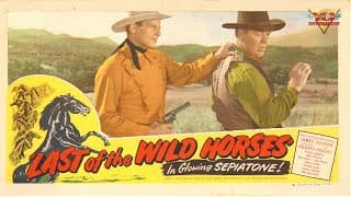 Last of the Wild Horses