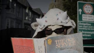 Pinwydd - Trailer