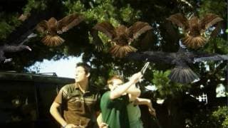 The Official BIRDEMIC: SHOCK AND TERROR Theatrical Trailer