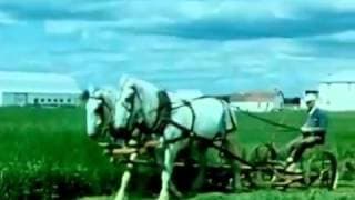 Au royaume du Saguenay
