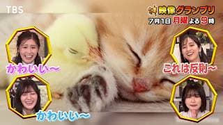 今度の｢神映像｣はヤバいらしい!!『神映像グランプリ』7/1(月)【TBS】