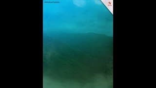 Keh Doon Tumhein | Miliye Dil Jeet Lene Waale Sudhakar Se