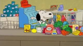 Joe Cool at the Supermarket