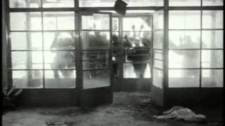 Biophage 2010 Trailer
