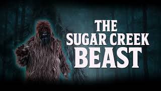 Sugar creek beast