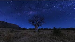 The Great Kimberley Wilderness