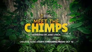 Meet the Chimps | Trailer