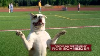 PUPS UNITED Official Trailer (2015) - Rob Schneider
